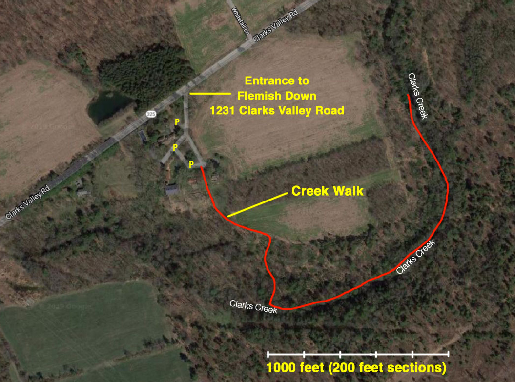 The CCWPA creek walk in June 2019