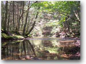 preserve clarks creek